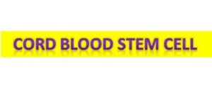 cord blood stem cell