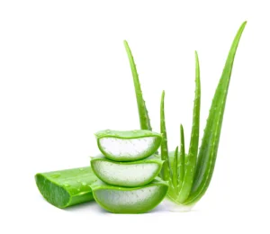 Homemade Face Pack For instant Glow And Fairness aloe vera face pack