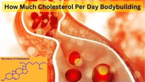 How Much Cholesterol Per Day Bodybuilding